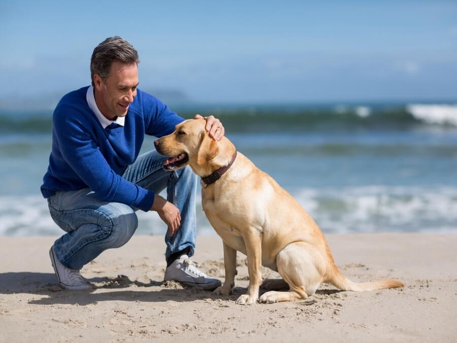 犬と男性