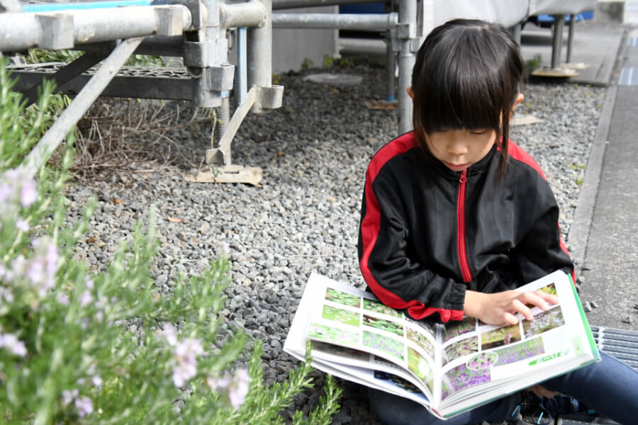 図鑑をみる子供